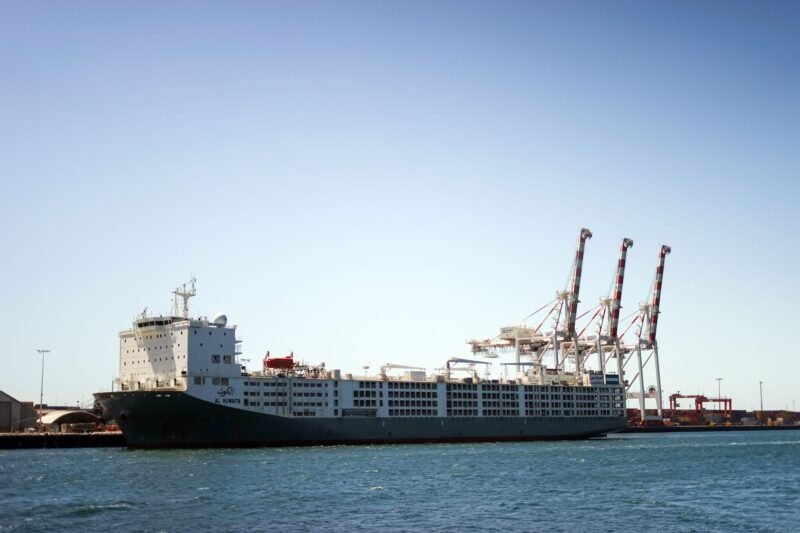 Livestock carrier Al Kuwait at Freemantle Port