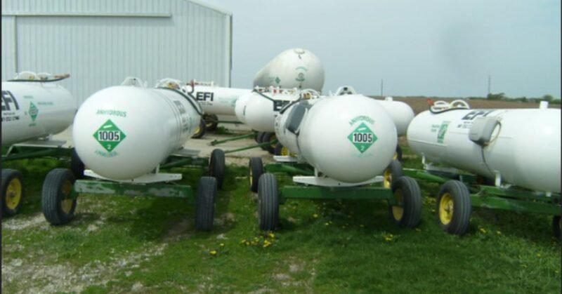 Solar Energy Corporation of India issues Request for Selection for Green Ammonia Producers