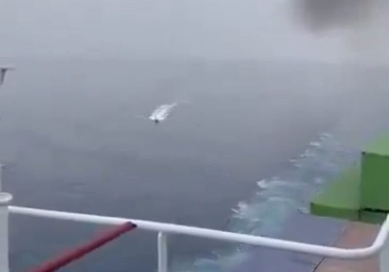 USV attack on the MV Pumba in the Red Sea, July 20, 2024.