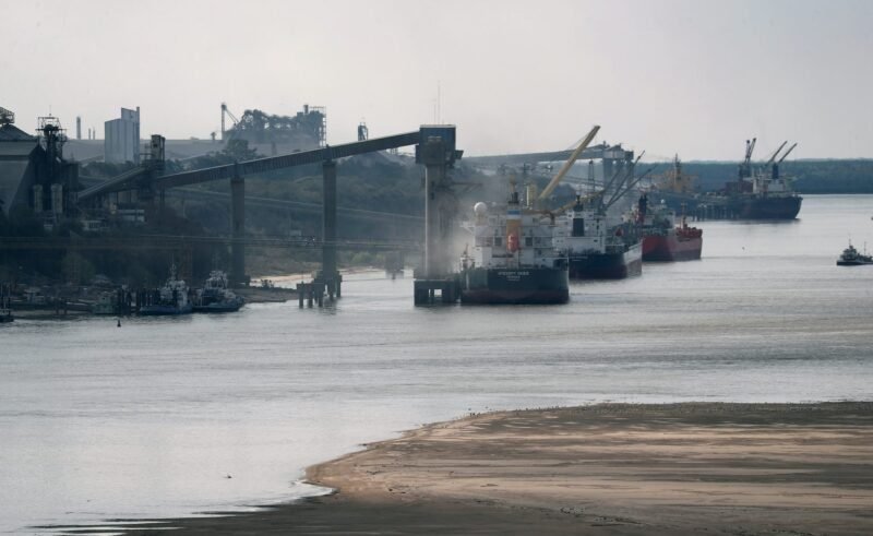 FILE PHOTO: Grain is loaded aboard ships in a port on the Parana river near Rosario, Argentina August 28, 2020. REUTERS/Agustin Marcarian/File Photo