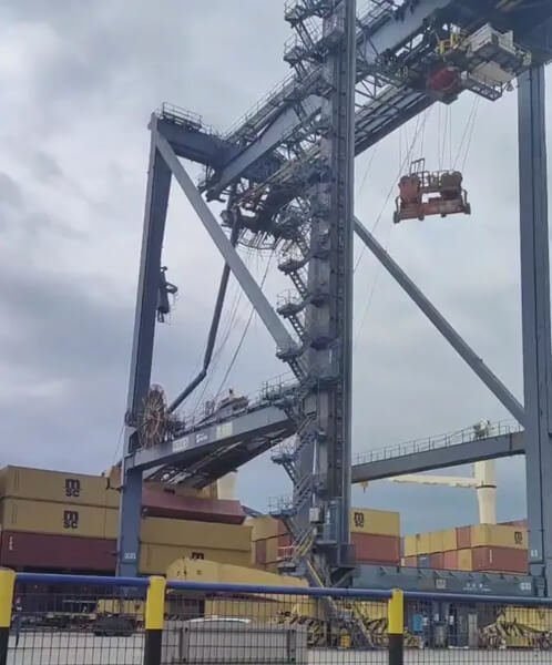 Crane Collapses on to MSC Feeder Alongside in Chinese Port