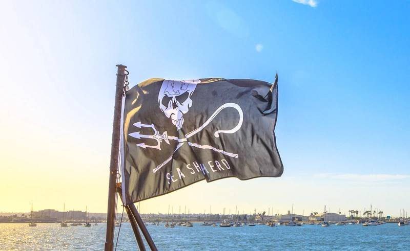 Greenland Court Extends Detention For Anti-Whaling