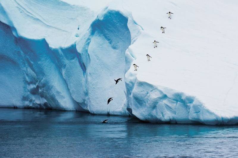 HX Launches Education Program For Antarctic Passengers