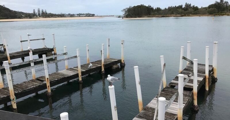 The ROPAX jetty project is being built on the Dhamra River in Odisha