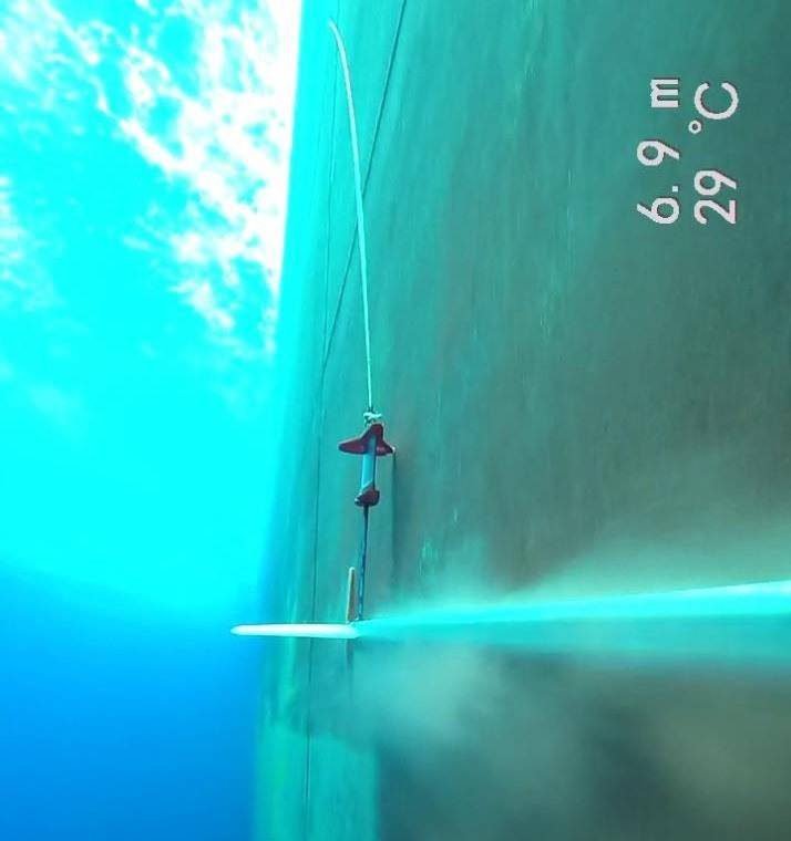 Hapag-Lloyd Scratches Fouling ITCH With Shipshave’S