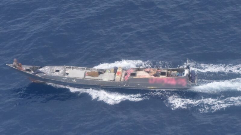 In the first 30 days of the Australian Border Force's Operation LUNAR, 12 ships were intercepted and tonnes of sea cucumbers seized