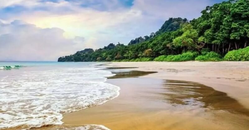 Concerns over Nicobar port construction raised by PIL