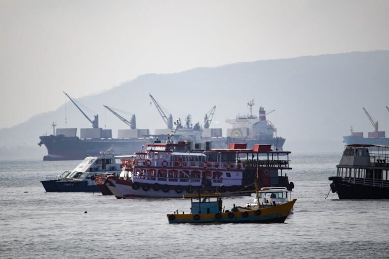 Shipping powerhouses deepen ties with India amid expansion plans