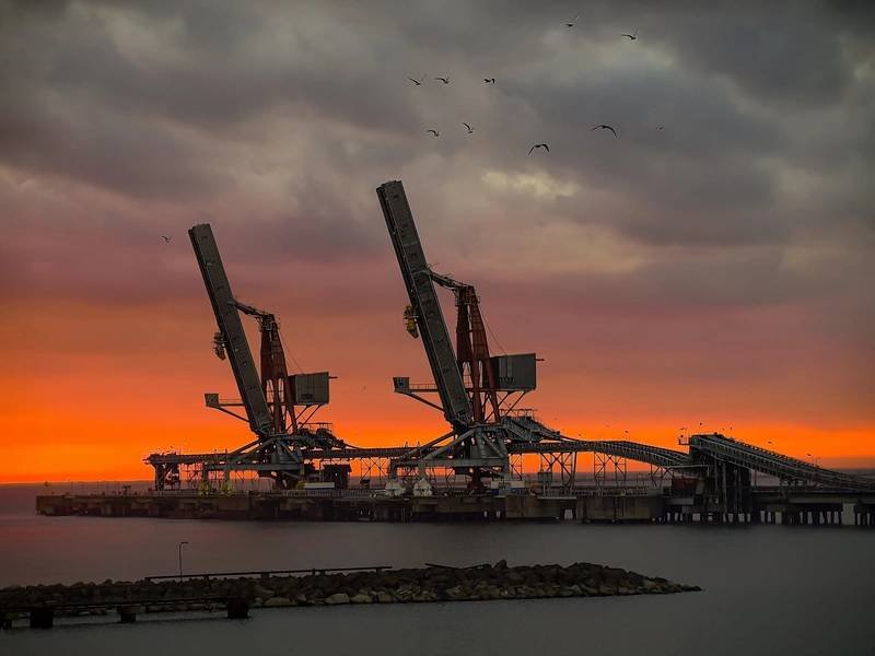 Acting On Instinct - Marinelink