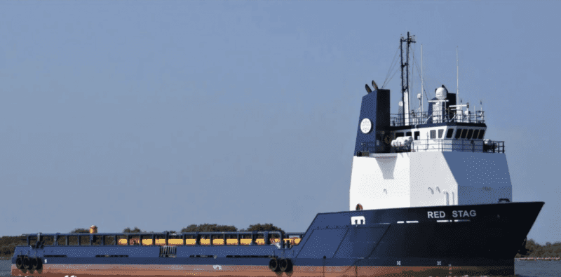 Photograph of RED STAG