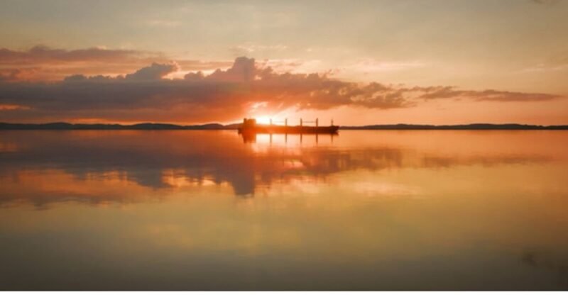 New report shows the consequences of poor biofouling management