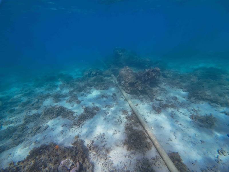 Taiwan sentences of Chinese ship captain to the prison for prison