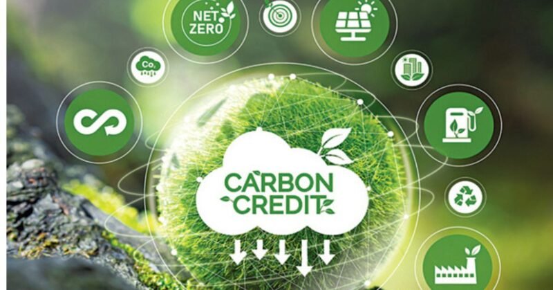 India introduces carbon credit trading scheme