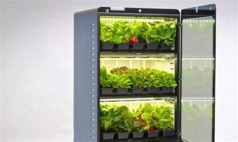 Enhancing Crew Health Through Automated Onboard Farming Systems