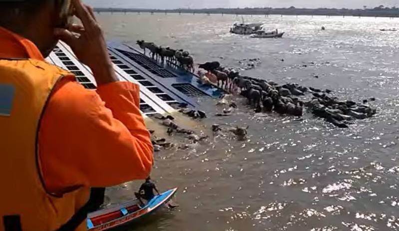 Brazil Prosecutors Sue Over Livestock Carrier