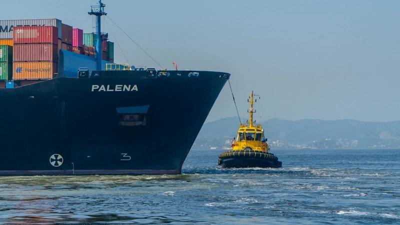 SAAM Towage Certifies Its Brazil Operations Carbon