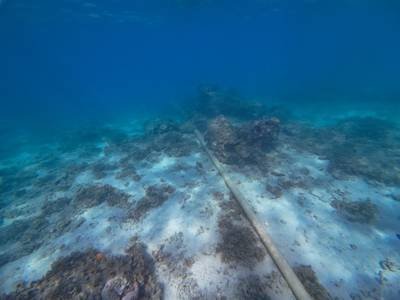 Finland To Tackle Subsea Cable Damage With New