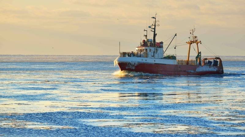 Much Of Dutch Fishing Fleet Stands Idle Amid High