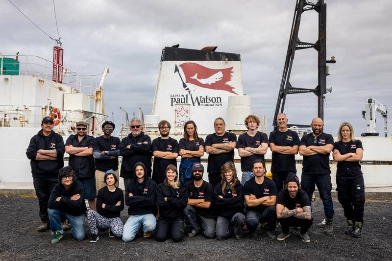 Activist Vessel Collides With Krill Harvesting Vessel