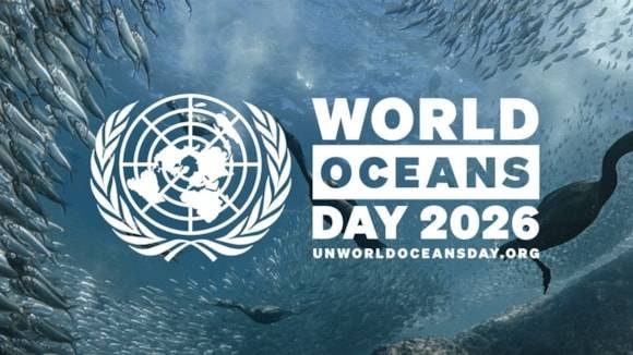 World Oceans Day: IMO Urges Nations To Put Policies