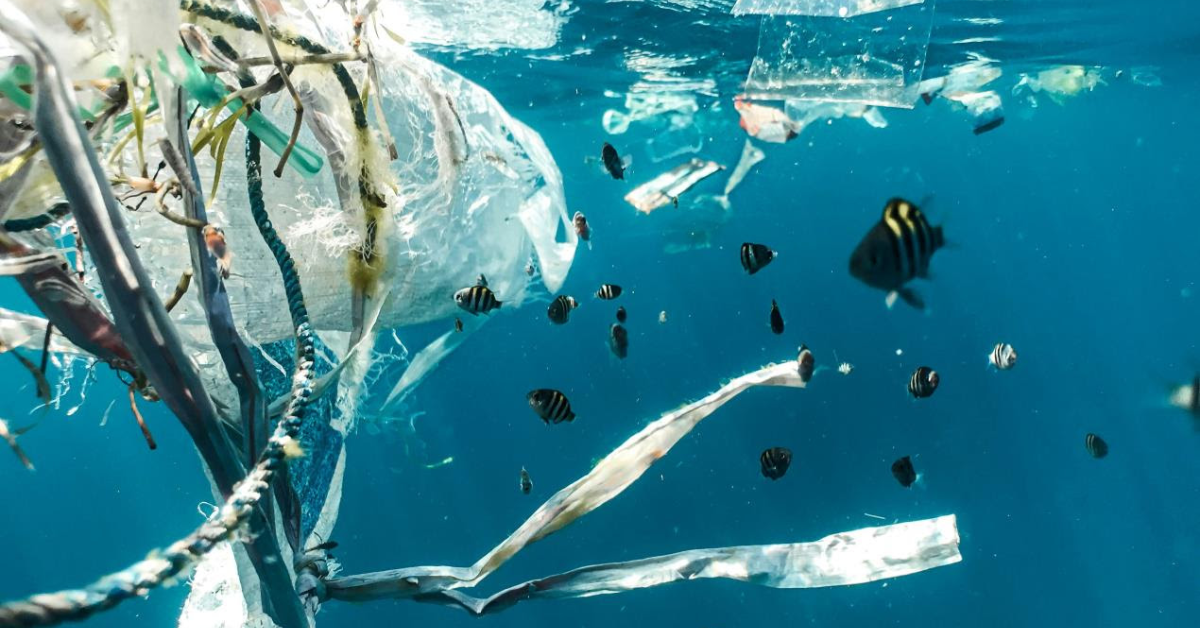 Shipping industry takes major step towards sustainable plastic procurement with new toolkit from MACS
