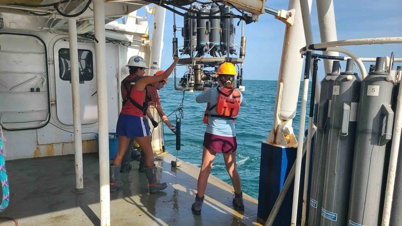 Gulf Hypoxic Zone Found To Be Smaller Than Expected