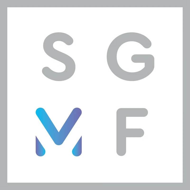 SGMF Publishes LCA On Methanol As Marine Fuel