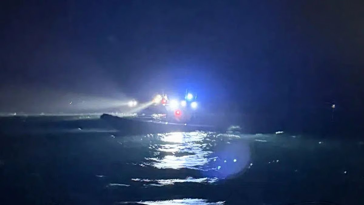 Cargo ship captain, pilot convicted over fatal collision