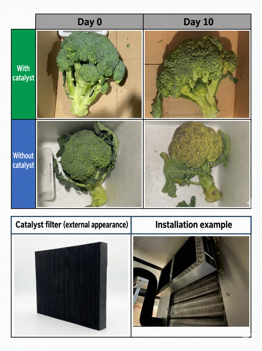 ClassNK Awards Innovation Endorsement for 'Freshness Keeping Catalyst' Technology