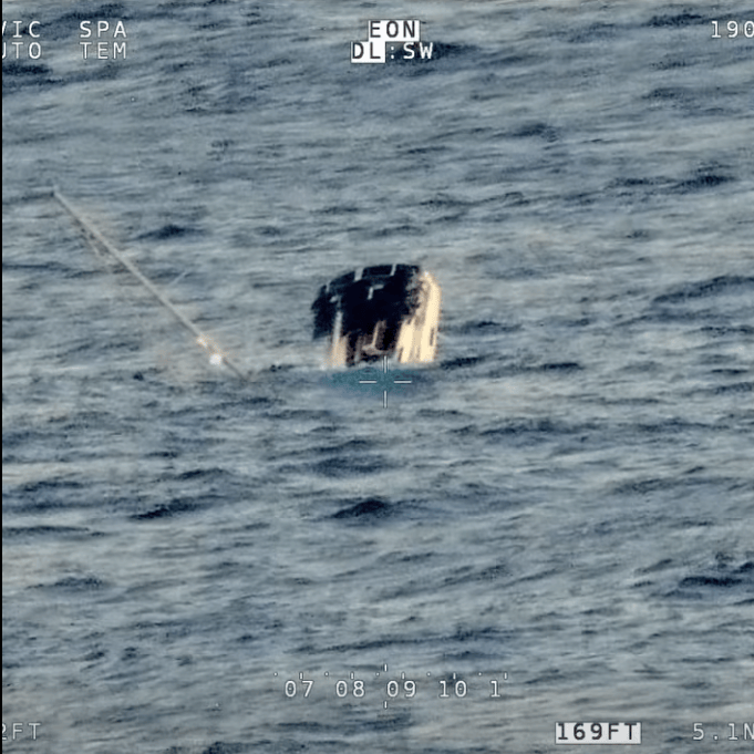 Sperm Whales Cause Yacht to Sink in Pacific, Crew Rescued