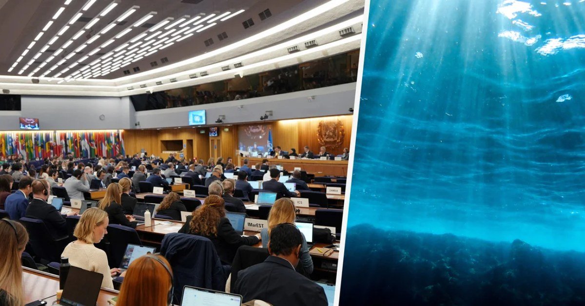 Delegates in session at an International Maritime Organization meeting