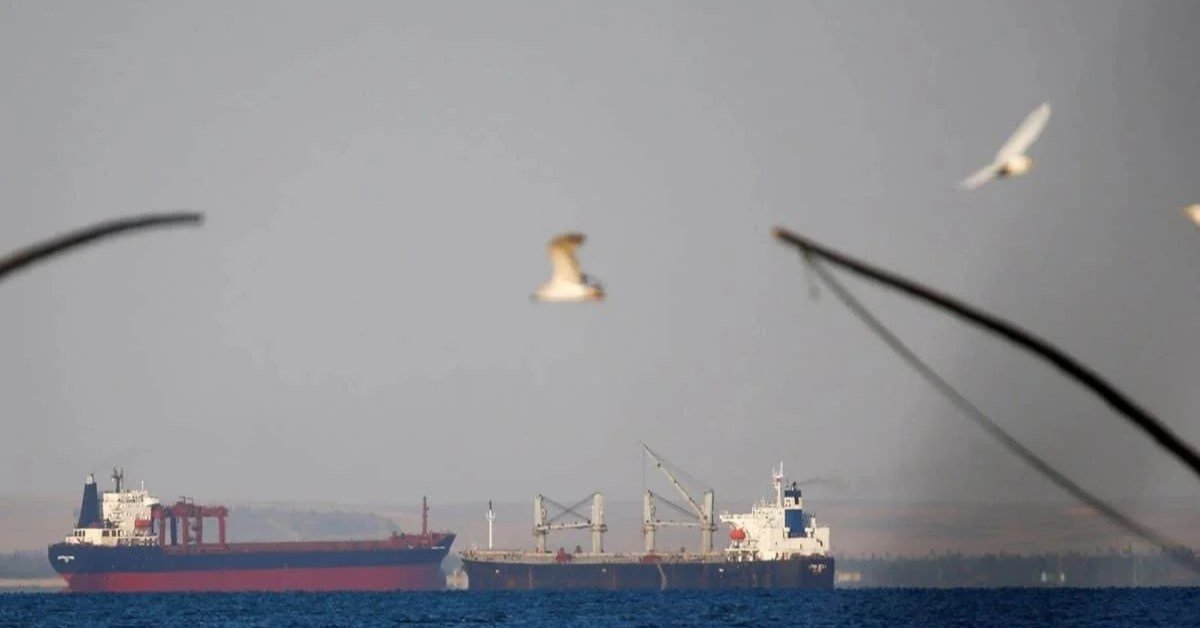 Tankers transiting the hazy Strait of Hormuz with seagulls overhead